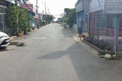 Bất động sản ''xì hơi'', có nên trông chờ vào cắt lỗ, bán tháo?