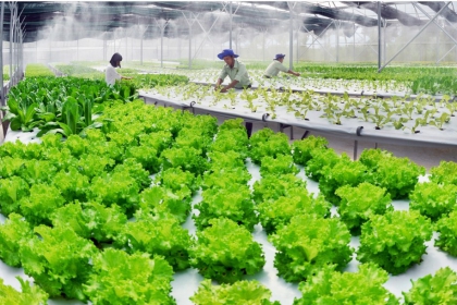Điều kiện, thủ tục, hồ sơ xin cấp đất làm trang trại 2021