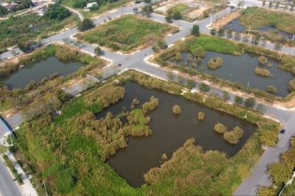 Giá đất tăng chóng mặt sau đấu giá, sửa Luật kinh doanh bất động sản có giải được bài toán này?