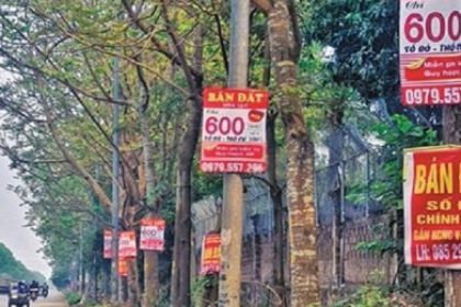Lý do thị trường bất động sản khắp nơi đều lên “cơn sốt”