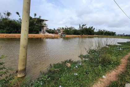 Đấu giá đất thu tiền tỷ dùng trả nợ rồi 