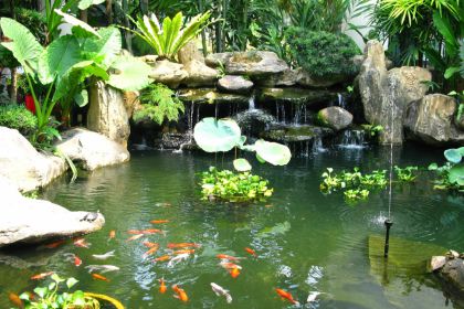 Cách làm hòn non bộ kết hợp bể nước tốt về phong thủy?
