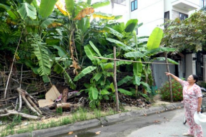 Quy định về cấp giấy chứng nhận nhà, đất mua bán giấy tay