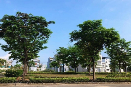 CHÍNH CHỦ BÁN ĐẤT ĐƯỜNG PHẠM XUÂN ẨN - HÒA XUÂN - GIÁ CHỈ 3020. 