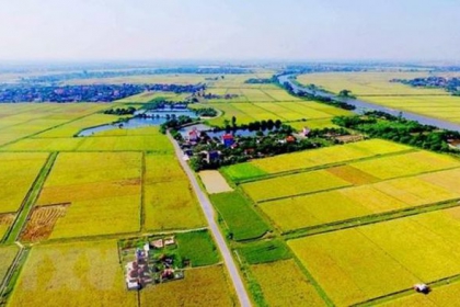 Hạng đất tính thuế sử dụng đất nông nghiệp giai đoạn 2021 - 2025
