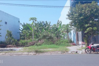 Bán Mẹ Thứ , Đường Thông , giá tốt