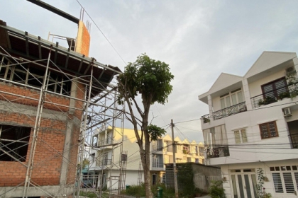 Thực hư chuyện bất động sản khắp nơi tăng giá