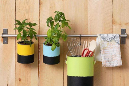 Trang trí nhà bằng những chậu cây không tốn kém