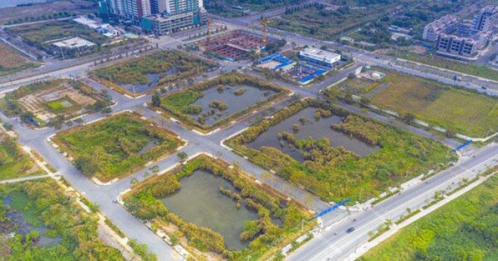 Bộ Xây dựng sẽ cho ý kiến về việc đấu giá đất và bỏ cọc tại Thủ Thiêm