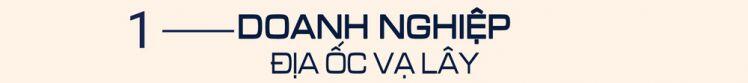 Vụ đấu giá đất Thủ Thiêm: Nhiều doanh nghiệp BĐS bị vạ lây