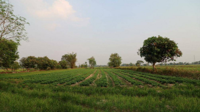 Hai lựa chọn khi bất động sản thứ hai bị đánh thuế